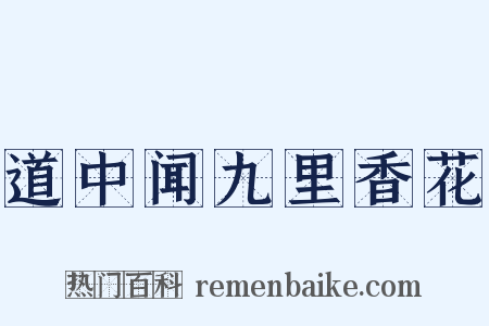 道中闻九里香花是什么意思的图片